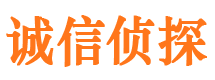 龙安寻人公司